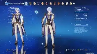 Genshin Impact Glitch: Seeing Double