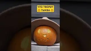 Мало кто знает❗️ ТЫКВА 🎃 что будет если есть часто? польза для здоровья