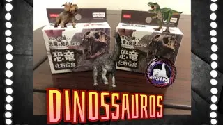 Encontramos fósseis Dinossauros 🦖