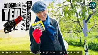 ЛОВЧИЙ ПОЯС скотч злобный ТЕД