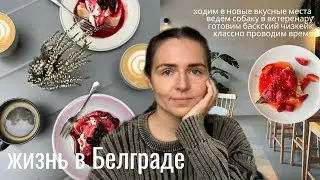 ноябрь в Белграде I новые кофейни и бары, готовим баскский чизкейк, бегаю в дождь