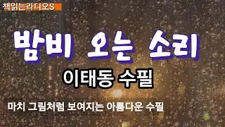 [책읽는밤] 마음이 차분해지는 정숙한 수필 ㅣ 밤비  오는 소리 ㅣ 이태동수필 #책읽는라디오S