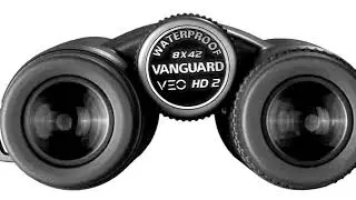 299,00 € - Jumelles Vanguard VEO HD2 8X42 | Verres ED - VHD8420
