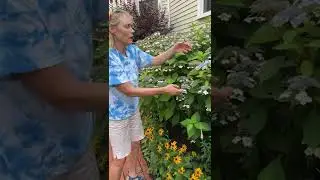 Gardens in small spaces have big impact