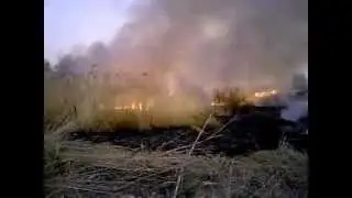 Камыш горит!