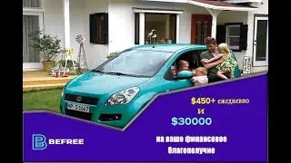 BEFREE   Отзывы наших партнеров
