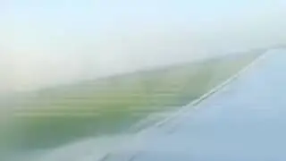 Airbus А321 Ural Airlines посадка на кукурузное поле в Подмосковье