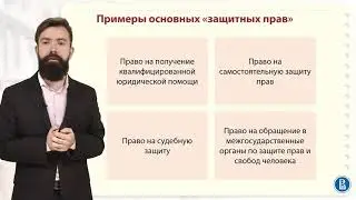 Конституционные гарантии прав человека