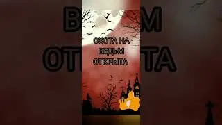 Алёна Полынь в сизо. Есть ли на ней порча? Опять началась охота на ведьм?