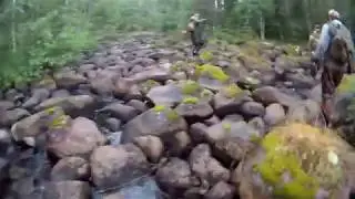каменная река
