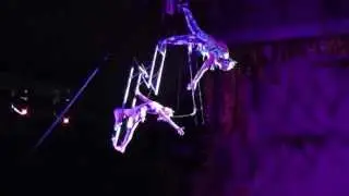 Duo trapeze-mamba