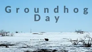 Groundhog Day