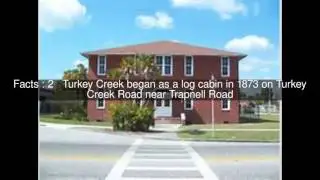 Historic Turkey Creek High School Top  #6 Facts