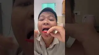 CRUSH FACTZ YT p528  😱🐕🤯 #shorts, #ytshorts #shortsvideo
