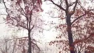 A Moment On Earth