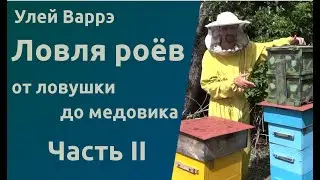 Народный улей Варрэ. Ловля роёв. От ловушки до медовика. 2 часть