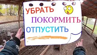 Осталась за главную на хуторе!😯Примерила плитку к плинтусу.