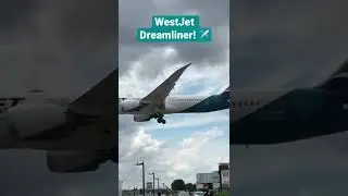 WestJet 787 Dreamliner Landing Toronto Pearson