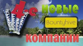 BOUNTY HIVE | ЧЕТЫРЕ НОВЫЕ КОМПАНИИ