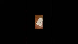 Funny Dog 1 #shorts