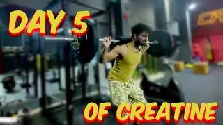 Taking Creatine Day 5 of 30