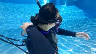 STEPDive Presents: Trace or Reach Recovery Method