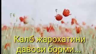 Калб жарохатини давоси борми...