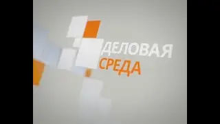 Программа «Деловая среда» от 24 ноября