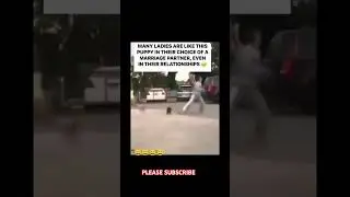 #funny #shorts   who do you think the do should follow?