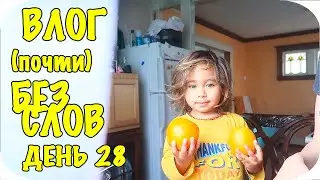 Жизнь в США: ВЛОГ (почти) БЕЗ СЛОВ Самоизоляция День 28  | April 8, 2020