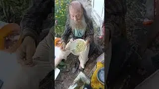 #витямитя #еда #вітямітя молодые огурцы
