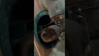 Пить хочу