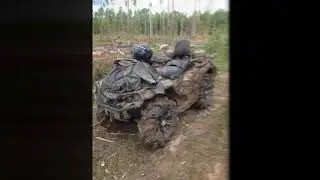 газ-3308