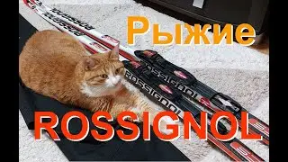Лыжи коньковые "Rossignol". Поиск клея для заделки коцек.
