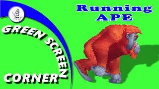 RUNNING APE Green Screen Video Chrome Key Animation Green Screen Corner Animals Children Kids Zoo