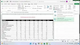 MOS Skills Review 4 - Freeze Panes
