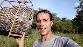 Pedido Aceito Dos Nossos Incritos, Vamos Voutar Com os Vìdeos Que Canto é Esse.