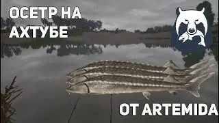 ОСЁТР НА АХТУБЕ|РР4 ОТ ARTEMIDA