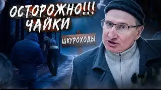 ОСТОРОЖНО -СОЛЬ, ЧАЙКИ, МЕТАДОН. ОСТОРОЖНО ОПАСНАЯ ПРОФЕСИЯ  ЧАЙКА ШКУРАХОД . 