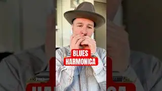 Harmonica Tutorial for Beginners Blues Riff Harmonica 