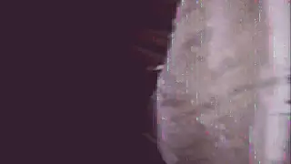 Чердак на маяковской