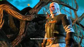 The Witcher 3: Wild Hunt