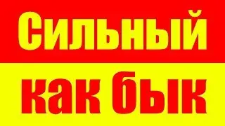 Эффективная программа на силу мышц