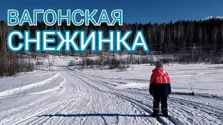 Вагонская снежинка 2021