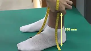 Обхват голени / Calf Girth