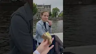 День на воде по каналам Амстердама 🌊