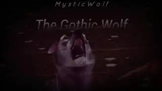 The Wolf- Intro for Arctic :3