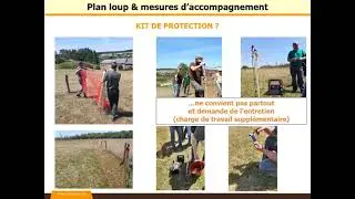 Assemblée Sectorielle OC - Accompagnement éleveurs, moyens de protection, par Mathieu Halford 4/8