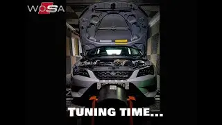 Monster 750bhp Cupra! | We go tuning...
