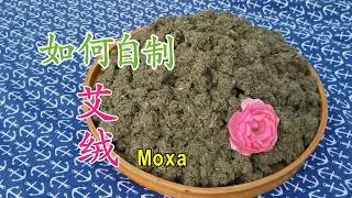 Homemade Moxa